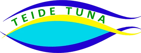 Teidetuna, ir al inicio